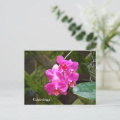 Carte postale - Orchidée (Debout devant)