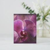 Carte Postale Orchidée (Debout devant)