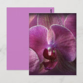 Carte Postale Orchidée (Devant / Derrière)