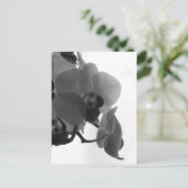 Carte Postale Orchidée (Debout devant)