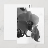 Carte Postale Orchidée (Devant / Derrière)