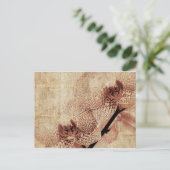 carte postale orchidée (Debout devant)