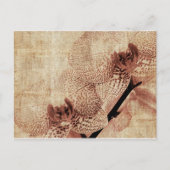 carte postale orchidée (Devant)