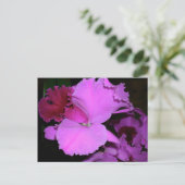 Carte Postale Orchidée (Debout devant)