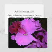 Carte Postale Orchidée (Devant / Derrière)