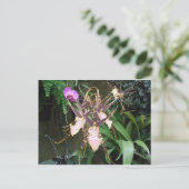 Carte Postale Orchidée (Debout devant)