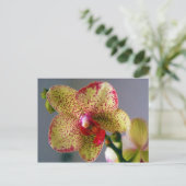 Carte Postale Orchidée (Debout devant)