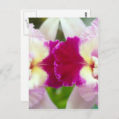 Carte Postale Orchidée (Devant / Derrière)