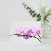 Carte Postale orchidée (Debout devant)