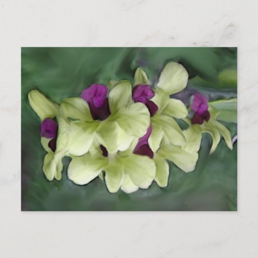 Carte postale orchidée (Devant)