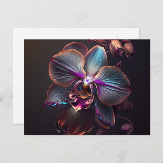 Carte Postale Orchidée (Devant / Derrière)