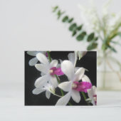 Carte Postale Orchidée 1 (Debout devant)