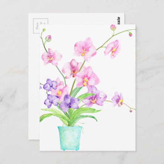 Carte Postale Orchidée aquarelle en pot (Devant / Derrière)