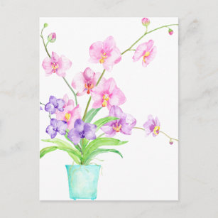 Carte Postale Orchidée aquarelle en pot