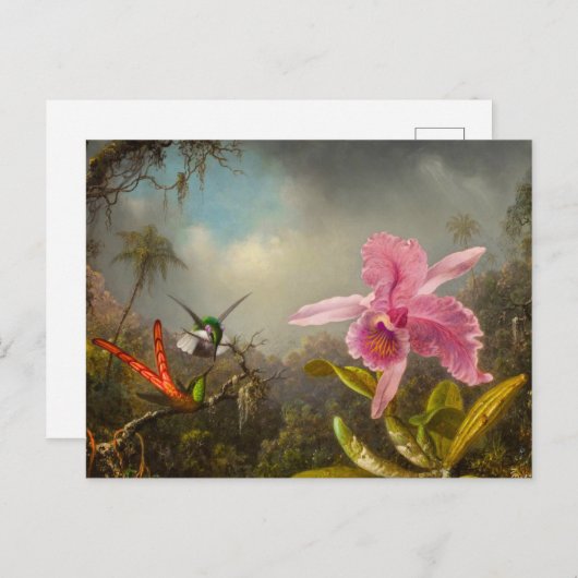 Carte Postale Orchidée avec deux colibris Heade (Devant / Derrière)