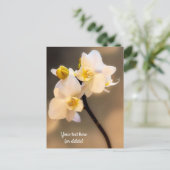 Carte postale orchidée blanche (Debout devant)