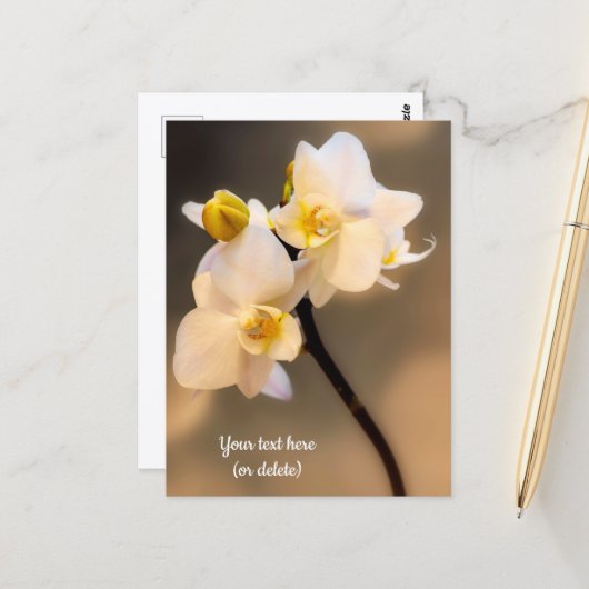 Carte postale orchidée blanche (Devant/Arrière en situation)