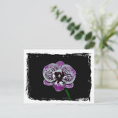Carte Postale Orchidée blanche et violette (Debout devant)