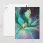 Carte Postale Orchidée bleue et violette près (Devant / Derrière)