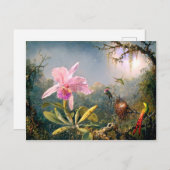 Carte Postale Orchidée de Cattleya et trois colibris (Devant / Derrière)
