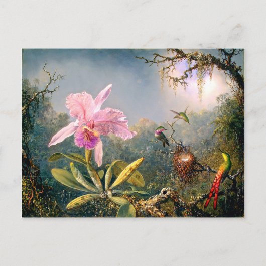 Carte Postale Orchidée de Cattleya et trois colibris (Devant)
