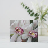 Carte Postale Orchidée de Cymbidium (Debout devant)
