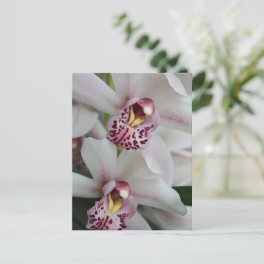 Carte Postale Orchidée de Cymbidium (Debout devant)