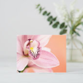 Carte Postale Orchidée de Cymbidium (Debout devant)
