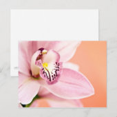 Carte Postale Orchidée de Cymbidium (Devant / Derrière)