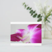 Carte Postale Orchidée de Dendrobium (Debout devant)