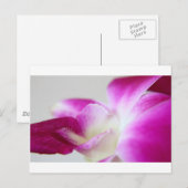 Carte Postale Orchidée de Dendrobium (Devant / Derrière)