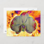 Carte Postale Orchidée de feu, abstraite aquarelle vive florale (Devant / Derrière)