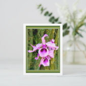 Carte Postale Orchidée de lavande (Debout devant)