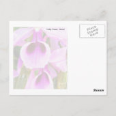 Carte Postale Orchidée de lavande (Dos)