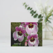 Carte postale - Orchidée de Pansy (Debout devant)