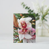 Carte Postale Orchidée de Phalaenopsis blanc et rose (Debout devant)