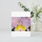 Carte Postale Orchidée de printemps (Debout devant)
