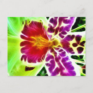 Carte Postale Orchidée éclatée