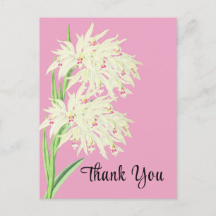 Carte postale Orchidée Fleurie Merci