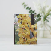 Carte Postale Orchidée jaune (Debout devant)