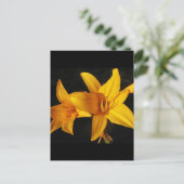 Carte Postale Orchidée jaune (Debout devant)
