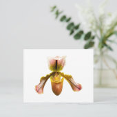 Carte Postale Orchidée jaune (Debout devant)