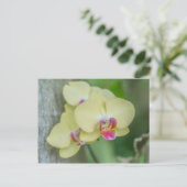 Carte postale - Orchidée jaune (Debout devant)
