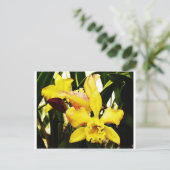 Carte Postale Orchidée jaune (Debout devant)