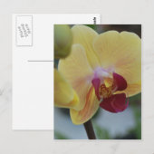 Carte Postale Orchidée jaune de Gardenfest 2011 (Devant / Derrière)