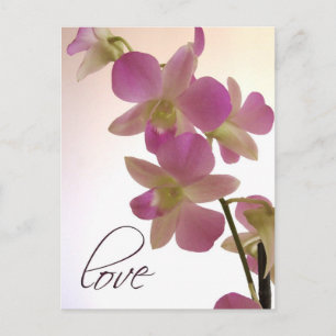 Carte Postale Orchidée mauve douce