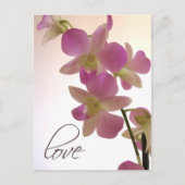 Carte Postale Orchidée mauve douce (Devant)