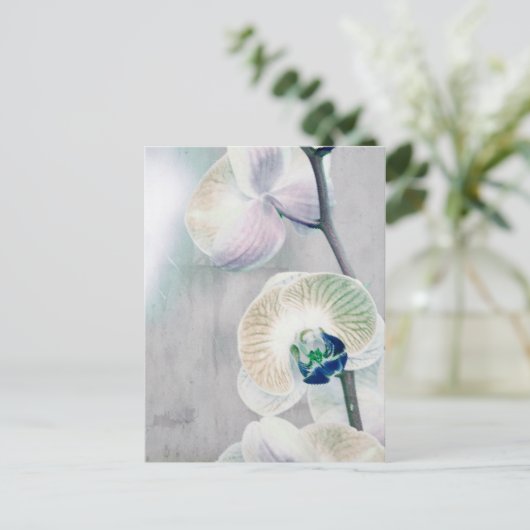 Carte postale orchidée peinte (Debout devant)