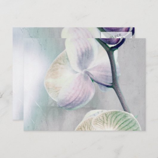 Carte postale orchidée peinte (Devant / Derrière)