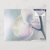 Carte postale orchidée peinte (Dos)